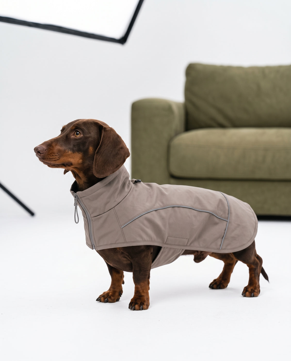 Veste Sentier