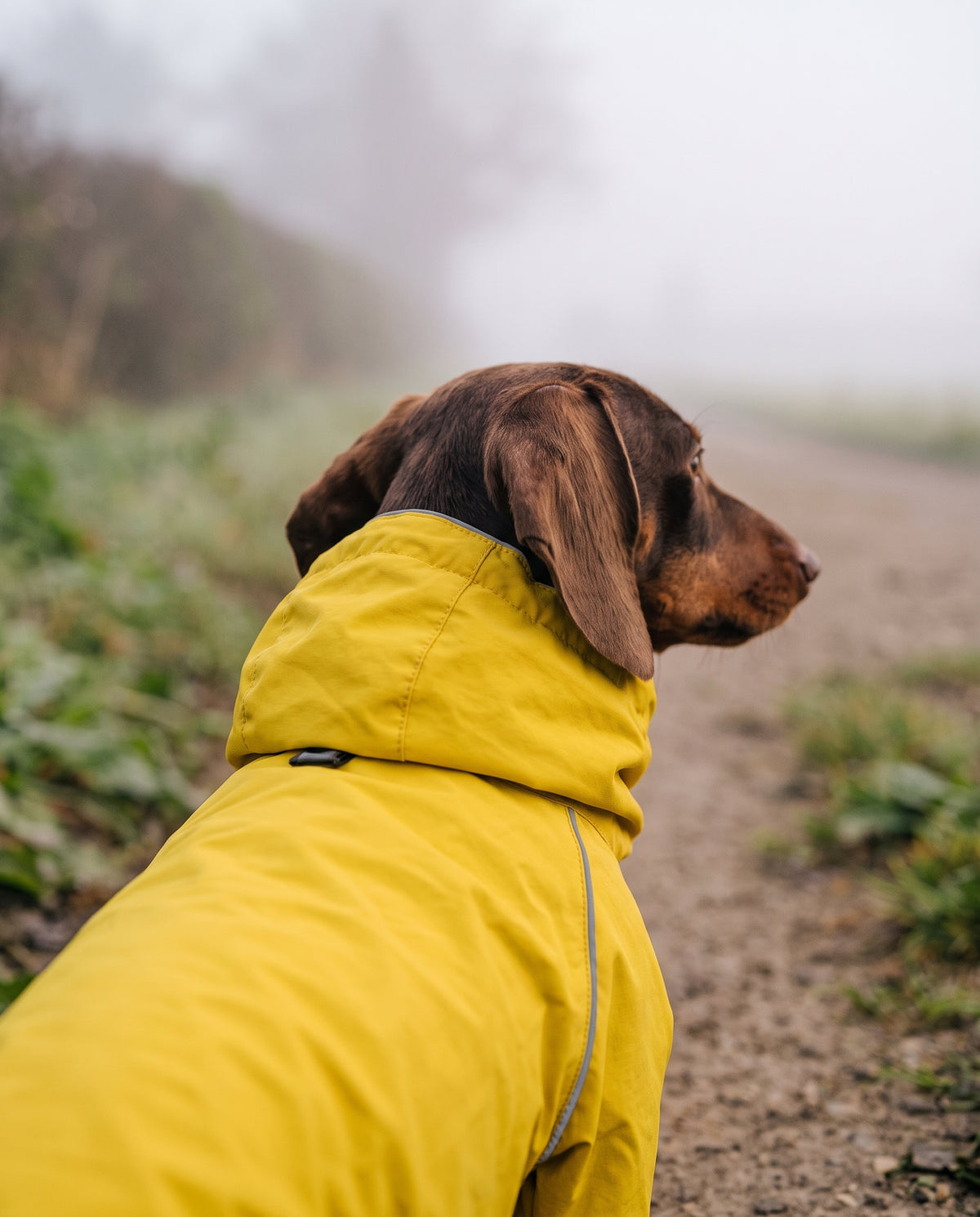 Combinaison de pluie