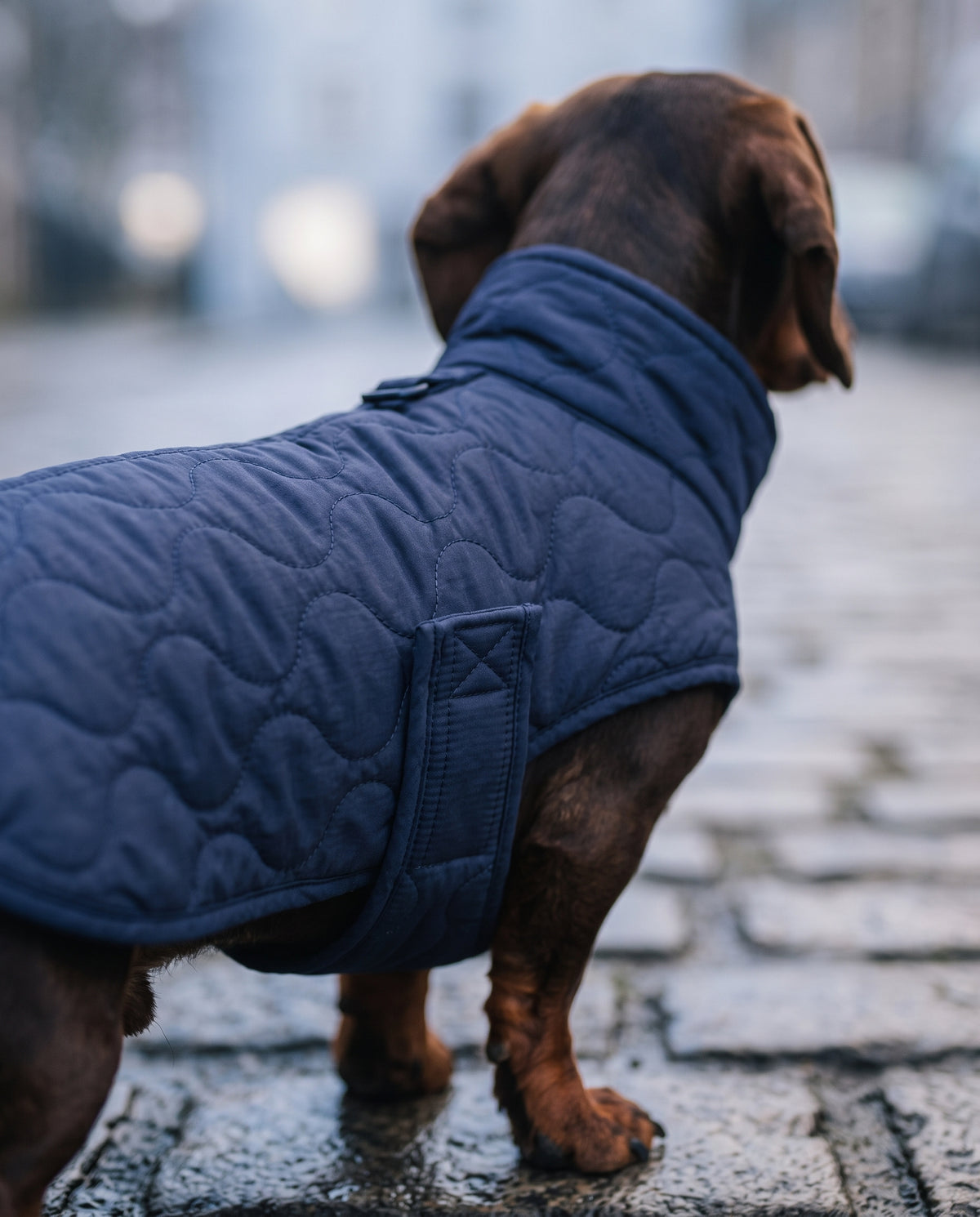 Manteau Forêt